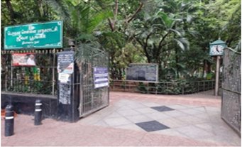 online tirupati travels booking from tnagar